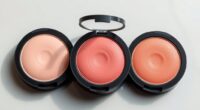 affordable blush dupes found