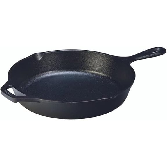 Lodge 12-Inch Pre-Seasoned Cast Iron Skillet