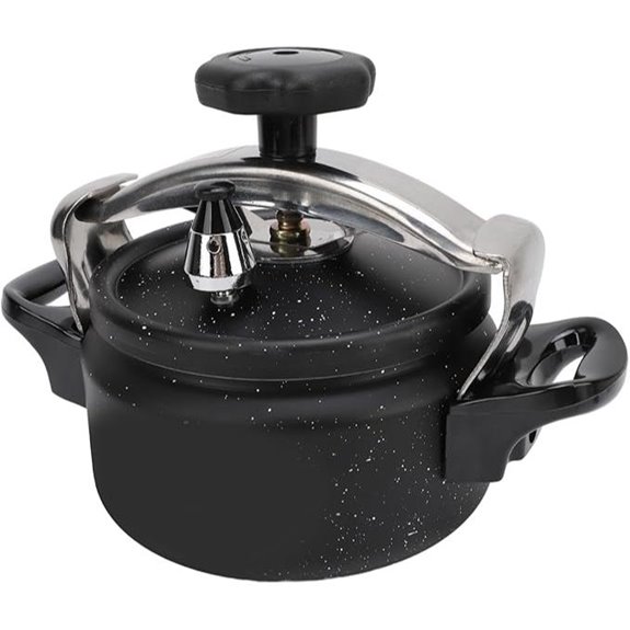 Aluminum 2L Pressure Cooker for Gas and Induction