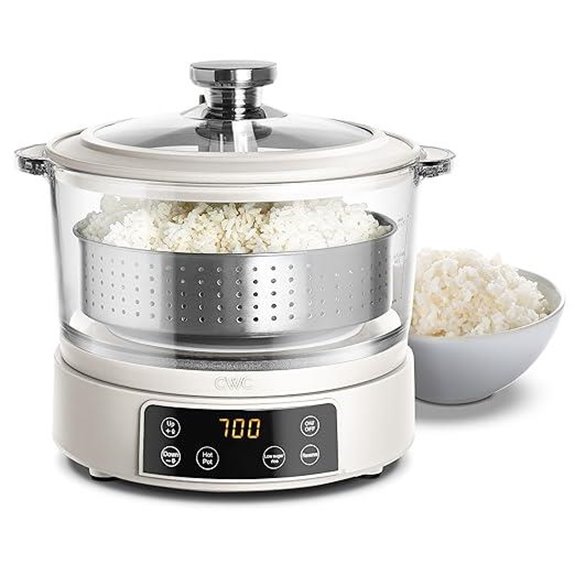 Cook with Color 3L Glass Mini Rice Cooker
