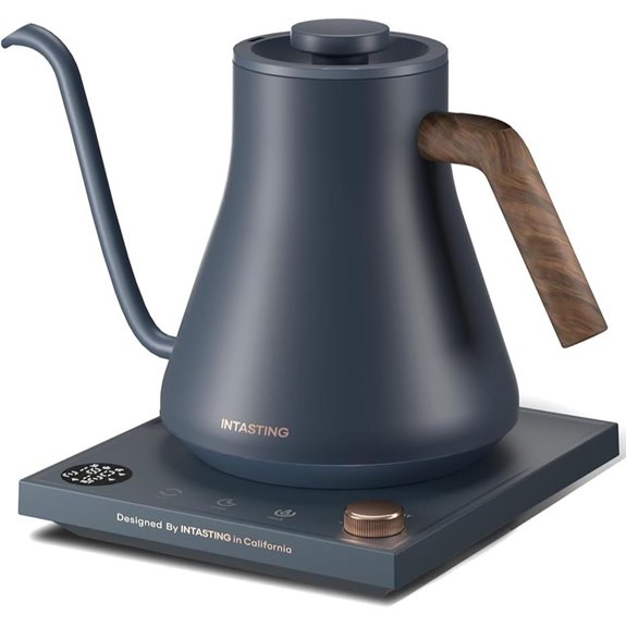 Gooseneck Electric Kettle for Coffee and Tea