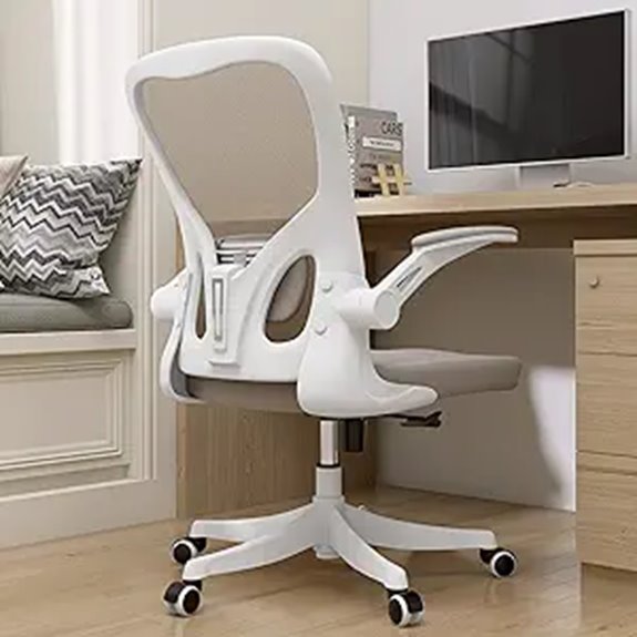 Monhey Ergonomic Office Chair with Lumbar Support