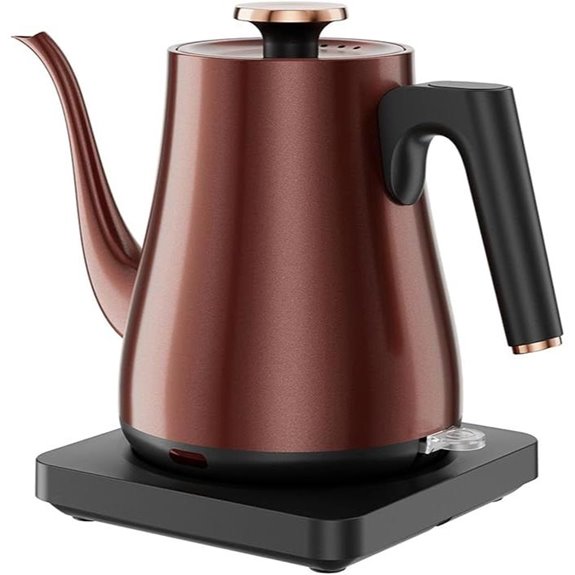 Gooseneck Electric Kettle 1.0L Rapid Boil