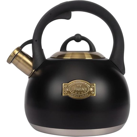 Stainless Steel Tea Kettle for Stovetop 3.1 Quart