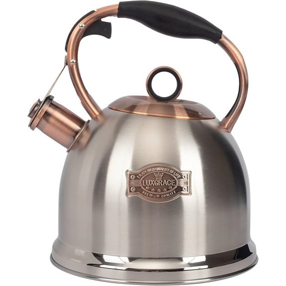 Whistling Stainless Steel Tea Kettle 3 Quart