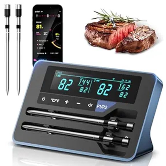 AI Wireless Meat Thermometer with 2 Probes