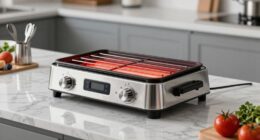 top 15 salamander broilers