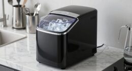 top high capacity ice makers