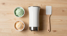 12 Best Ice Cream Makers For Home Desserts In 2026