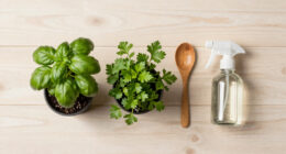 13 Best Herb Garden Kits for Fresh Indoor Harvests in 2026