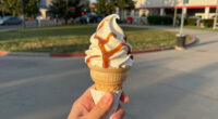 15 Costco Sweet Treats That Will Shine All Summer