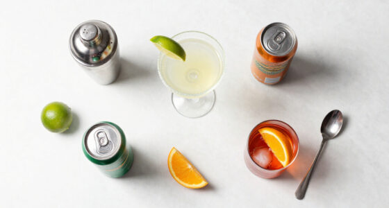 A Classic Margarita, Negroni, And More: Our Editors’ Absolute Favorite Canned Cocktails For Summer