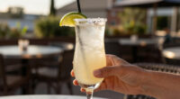 Frozen Paloma