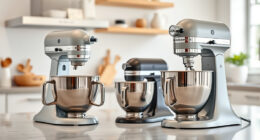 KitchenAid Professional 600 vs KitchenAid Mini: Full Comparison