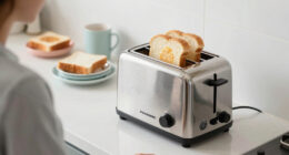 Us Canada Panasonic Toaster Recall
