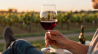 5 Best Finger Lakes Red Wines in 2026
