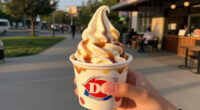 Dq Caramel Apple Cheesecake Blizzard