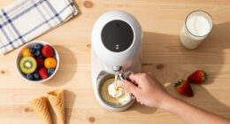 12 Best Ice Cream Maker Machine in 2026