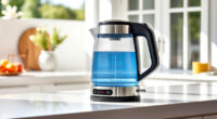 Cool Summer Hacks with the Ninja KT200BL Electric Kettle