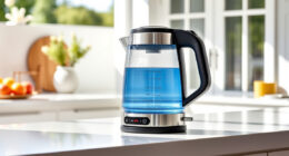 Cool Summer Hacks with the Ninja KT200BL Electric Kettle