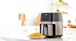 Summer Care & Troubleshooting for the Ninja Air Fryer 4 Qt