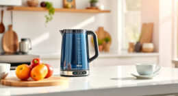 Summer Care & Troubleshooting for the Ninja KT200BL Electric Kettle