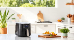 Summer Savings: Ninja Foodi 10 Quart DualZone Air Fryer Review