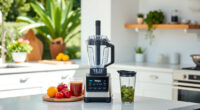 Summer Smoothies & More: Ninja BN805A Pro Plus Kitchen System Review